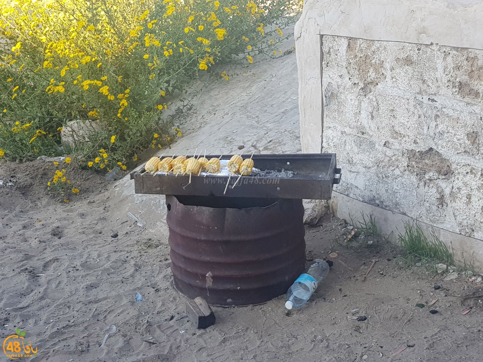 robenerejq (13).jpeg